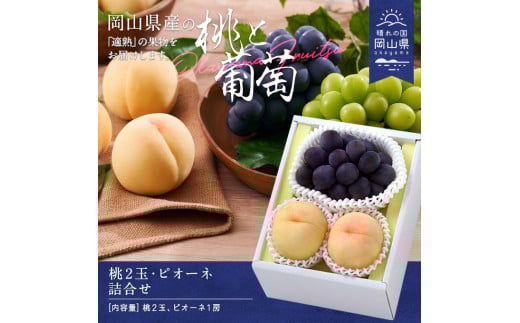 CY-2【令和8年発送】桃・ピオーネ詰合せ