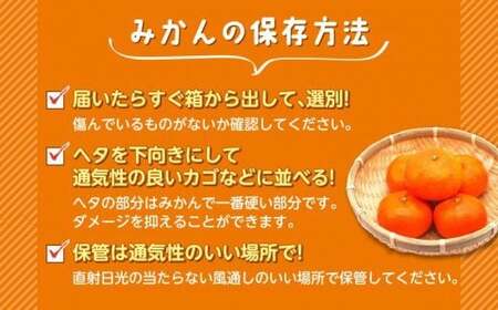 由良みかん 約5kg フルーツ 柑橘 オレンジ 果物 数量限定 国産 蜜柑