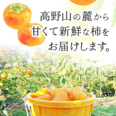 ふるさと納税 橋本市 柿【2026年度発送分】ケーズファーム　富有柿　M　14個程度(約2.8kg) |  | 02