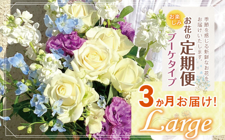 お楽しみ！3か月 お届け お花 の 定期便 「Large」 | ブーケ タイプ 高さ35-40cm 本数12-17本 flower フラワー ふらわー 花 はな リトルシード インテリア 植物 定期 お任せ お見舞い ギフト お祝い 誕生日 親孝行 プレゼント贈り物 新鮮 調布 東京都