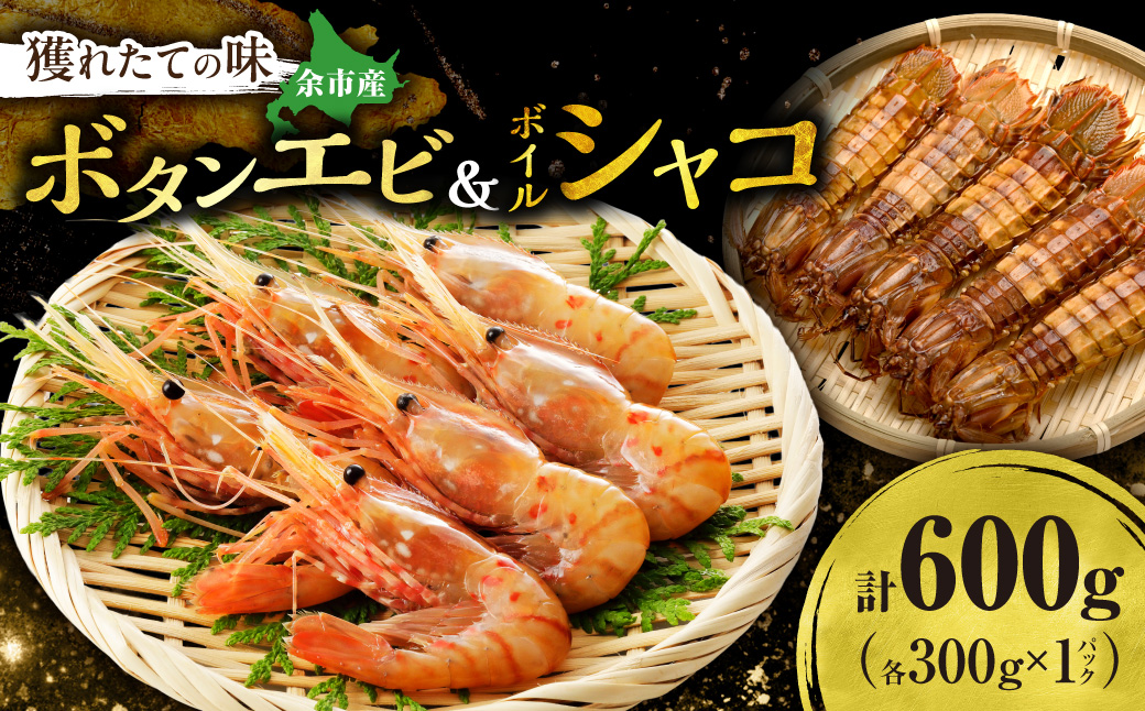 獲れたての味！北海道余市産 ボタンエビ 300g＋ボイルシャコ300g セット 地元漁港直送 急速超低温冷凍 刺身用 海鮮丼 生食可 国産 天然 食べ比べ 海の幸 詰め合わせ 送料無料_Y022-0027