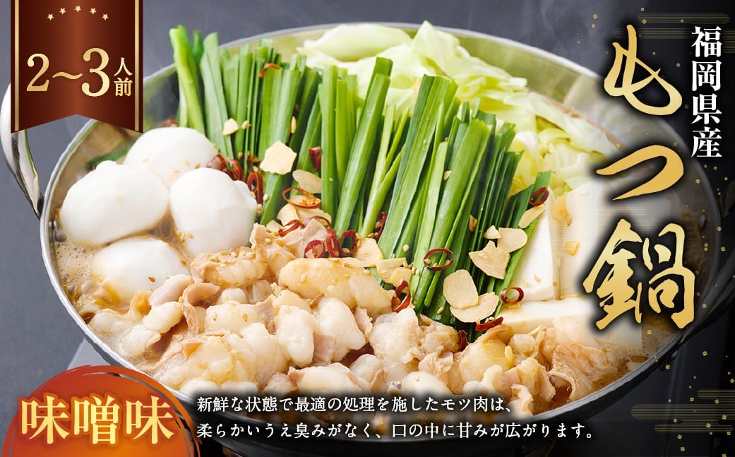 もつ鍋・味噌味 2～3人前 もつ鍋 お鍋 セット 味噌味 ご褒美 食事 冷凍 福岡県 遠賀町