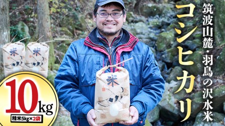 令和7年産 筑波山麓 ・ 羽鳥の沢水米 コシヒカリ 10kg [BN001sa]