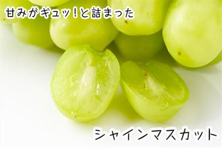 『先行予約』【7月下旬発送予定】甘みがギュッ!と詰まったシャインマスカット 2kg (約3～5房) 化粧箱 フルーツ 果物 ギフト