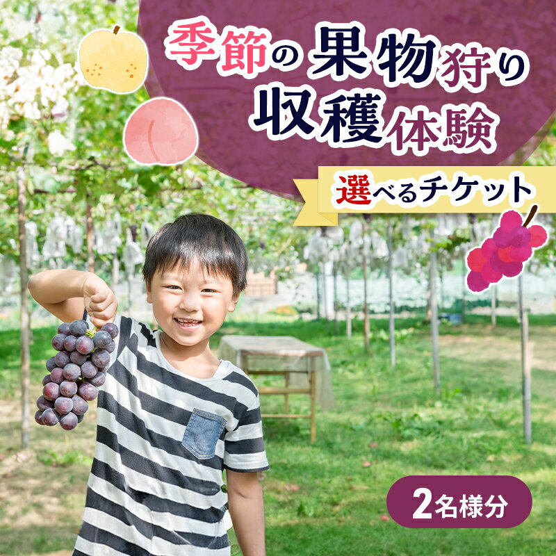 【ふるさと納税】フルーツ 季節の果物狩り 体験 チケット 2名様分 フルーツ狩り シャインマスカット ぶどう 梨 桃 藤原園芸 岡山県 赤磐市