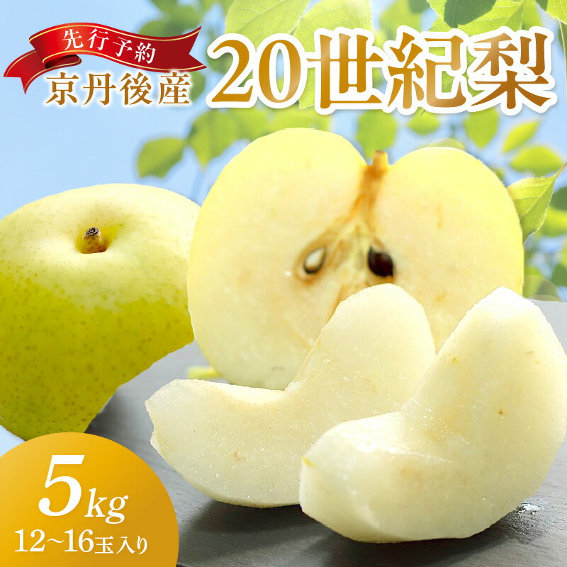 【ふるさと納税】直売所直送／【先行予約／数量限定150】京丹後産 20世紀梨 5kg（12～16玉入り）（2025年9月～発送） 国産 期間限定 デザート 甘い ジューシー ふるさと 納税 梨 なし ナシ 5kg ふるさと 納税 先行予約 期間限定 ふるさと 納税 フルーツ くだもの 青梨