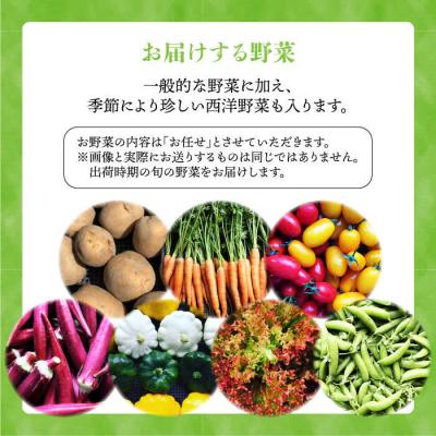 ふるさと納税 糸島市 【全3回定期便】☆畑直送☆限定!栽培期間中農薬不使用!お米2kg&野菜7品セット[AGE036] |  | 02