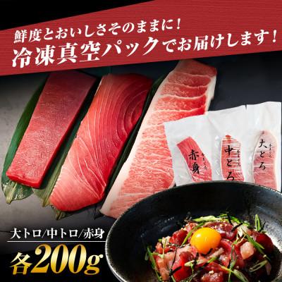 ふるさと納税 土佐市 本鮪　大トロ・中トロ・赤身　各200g　本マグロ3種盛セット |  | 03