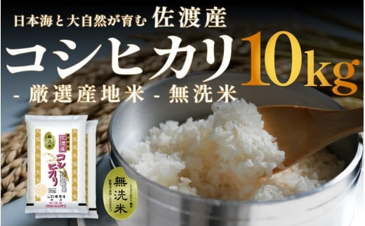 無洗米佐渡産コシヒカリ 10kg (5kg x 2) 令和7年産