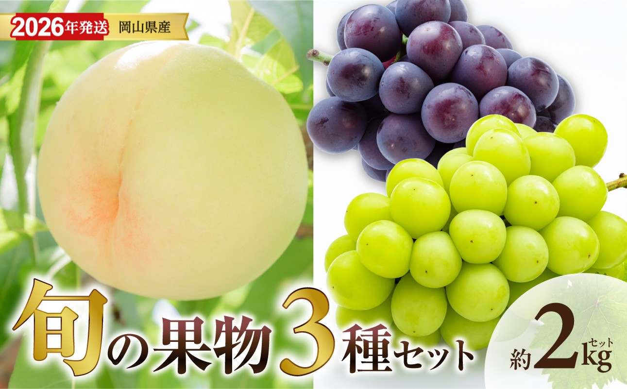 
            【 2026年発送 】岡山県産白桃 ロイヤル＆シャインマスカット＆ピオーネ 約2kgセット（令和8年6月中旬～8月上旬発送）【 白桃 糖度最上級 もも フルーツ モモ ロイヤル シャインマスカット ピオーネ ぶどう 大人気セット 岡山県産 くだもの王国岡山 】
          