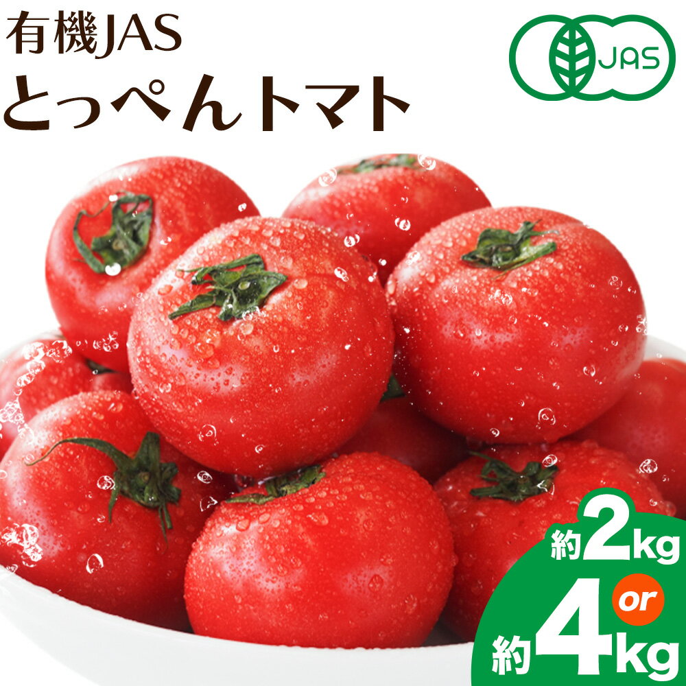 【ふるさと納税】有機JASとっぺんトマト 約2kg 約4kg 旬 お取り寄せ 詰め合わせ 贈答 ギフト お中元 お歳暮 熊本 阿蘇 産山村 送料無料 トマト 無農薬 有機《7月上旬-8月下旬頃出荷》