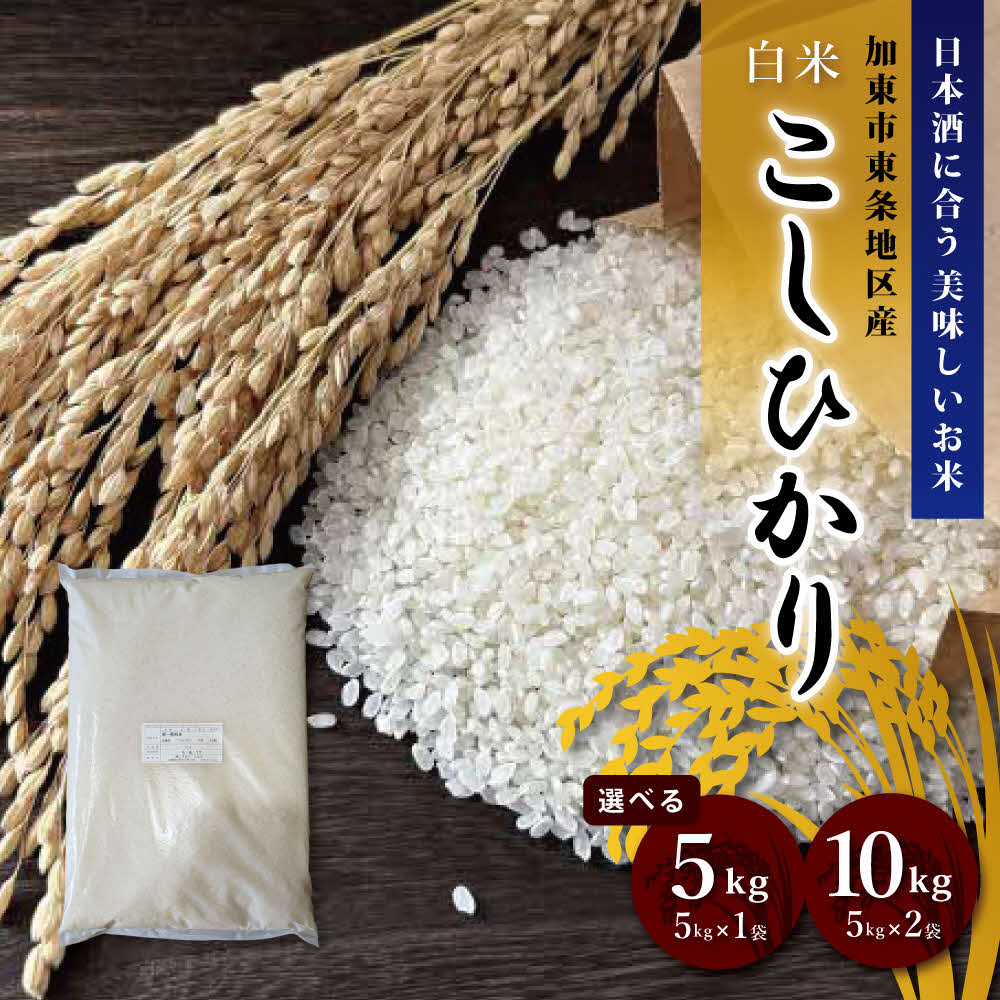 【ふるさと納税】令和7年産 コシヒカリ 白米 5kg・10kg (5kg×2) / 加東市東条地区産 お米 精米 訳あり 簡易包装 米 コメ こしひかり 兵庫県産 5キロ 10キロ ライス 日本酒に合うコシヒカリ