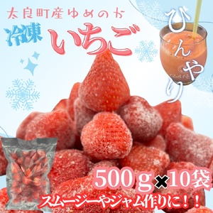 訳あり！太良町産「ゆめのか」冷凍いちご500ｇ×10袋 佐賀県 太良町 PB14