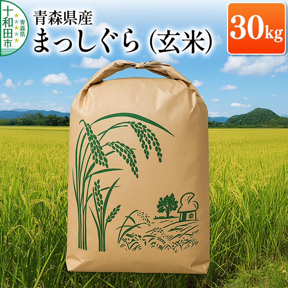 玄米 青森県産まっしぐら 30kg×1袋 令和7年産 [お米 30kg 30キロ]