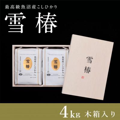 ふるさと納税 津南町 令和8年産 最高級魚沼産コシヒカリ 精米「雪椿」2kg×2袋 木箱入り