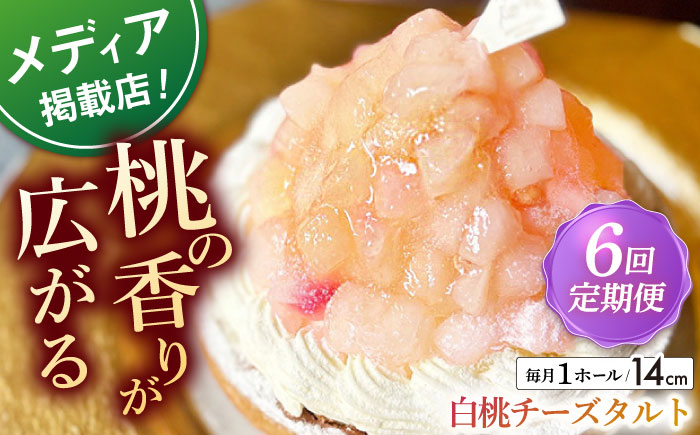 【全6回定期便】 白桃チーズタルト1ホール(14cm)【心優　−Cotoyu Sweets−】 [KAA528] 