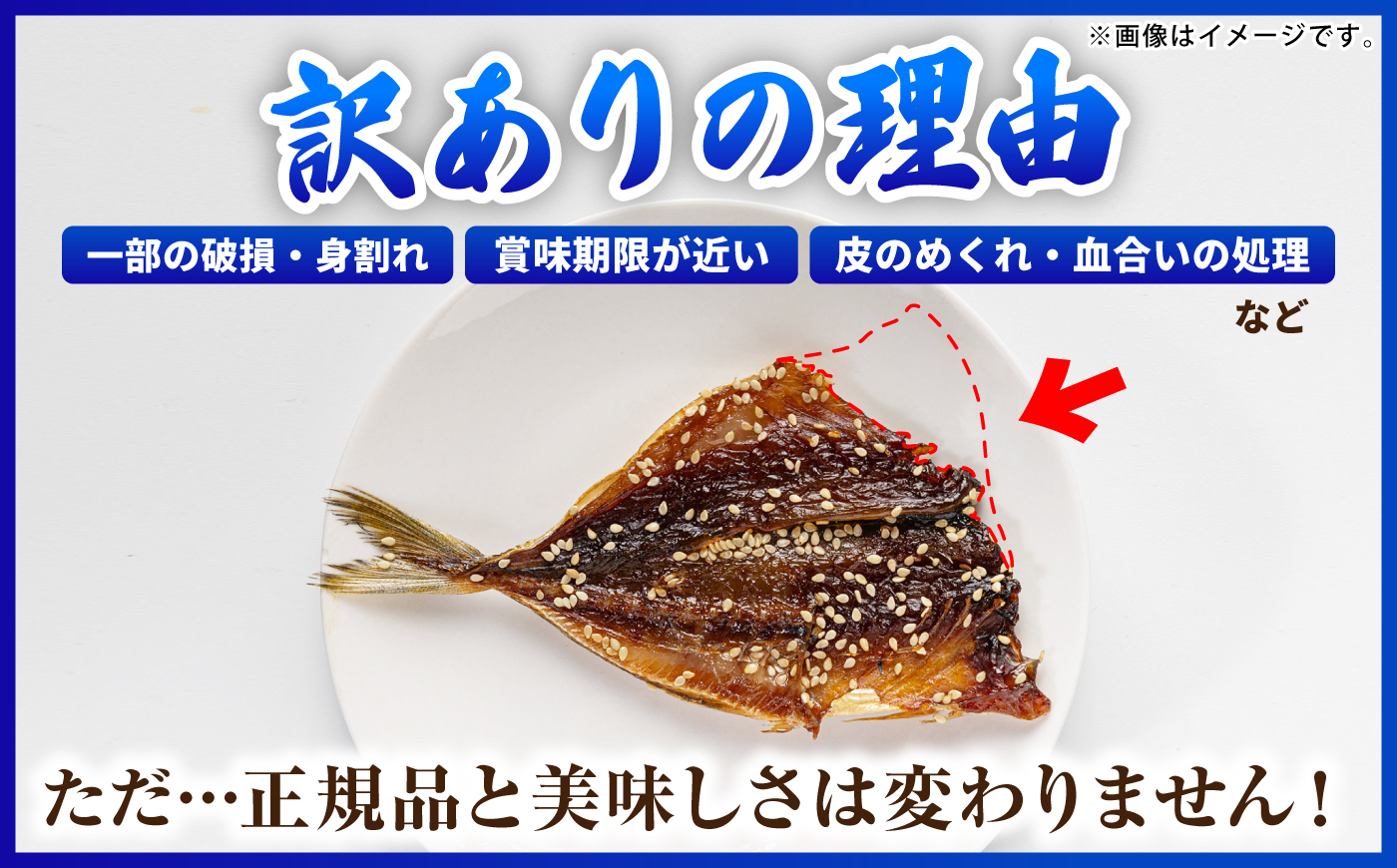 【訳あり】大量干し物セット 10～12枚《壱岐市》【馬渡水産】訳あり 訳アリ あじ アジ いわし イワシ かます カマス いか イカ さば サバ 鯵 鰯 鯖 干物 ひもの 干物セット 冷凍配送 [JA