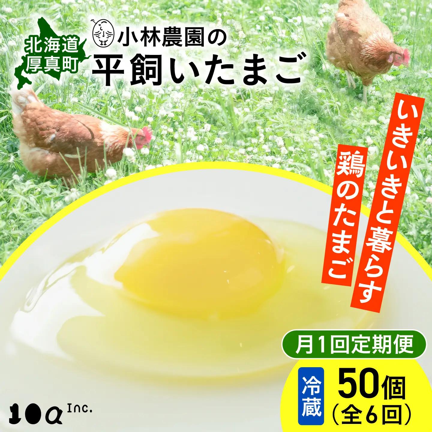 たまご 定期便 6回 有精卵 50個 計300個 冷蔵 [AXAN002]