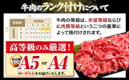 くまもと黒毛和牛 ウデ・モモスライス 500g (500g×1) 牛肉 冷凍 《30日以内に出荷予定(土日祝除く)》 くまもと黒毛和牛 黒毛和牛 牛肉 肉 冷凍 個別 取分け 小分け 個包装 モモ ス