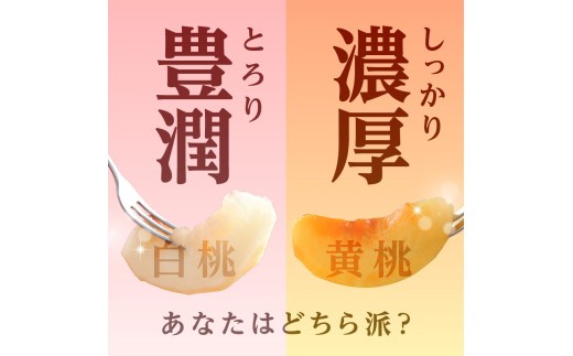 《先行受付》★黄桃（品種おまかせ）★ 約2kg(5～8玉) 秀品 【2026年8月中旬頃～発送予定】