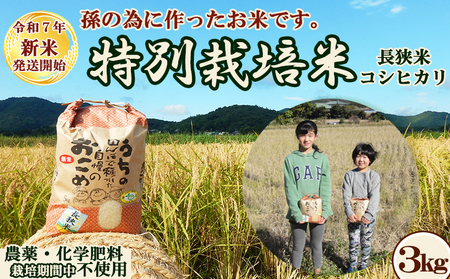 《令和７年産 新米》孫のために作りました！田代農園の『特別栽培米』《玄米》３kg　[0020-0097]