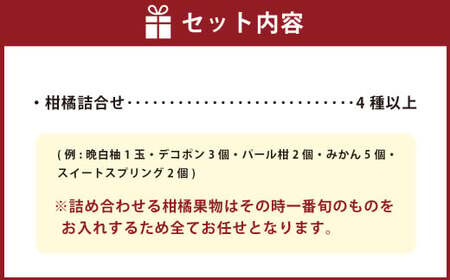 熊本県産 柑橘果物食べ比べセット 4種以上 【2027年1月上旬発送開始】 果物 フルーツ 柑橘 おまかせ 旬 旬のフルーツ