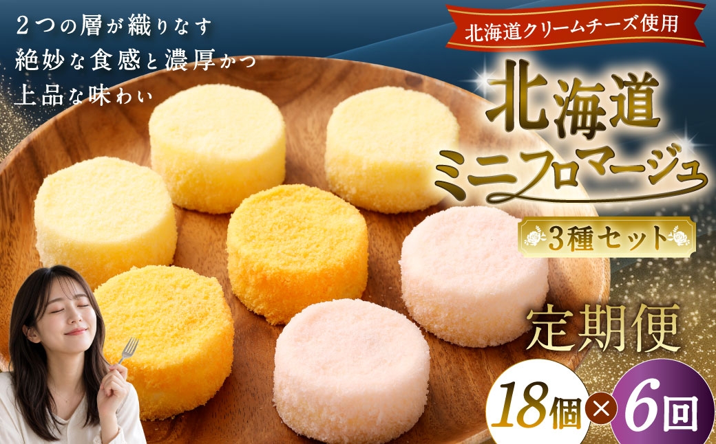 
            【6回定期便】 北海道ミニフロマージュ 3種 セット （プレーン ・ アップル ・ メロン） 約900g×6回 合計約5.4kg ミニフロマージュ フロマージュ チーズケーキ ケーキ スイーツ 洋菓子 冷凍 北海道 小樽市
          