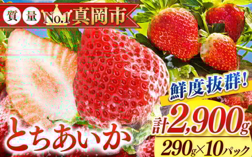 鮮度抜群 とちあいか 5箱 (290g×10) 2900g  |  選べる 容量 5箱 日本一 産地 大粒 冬 味覚 いちご 苺 イチゴ ストロベリー 大きい  ハート 美味しい 果汁 ジューシー 甘い あまい 甘味 たっぷり 大容量 | 人気 レビュー 栃木県 真岡市 送料無料
