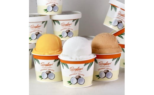 
            ［卵、香料不使用］ココナッツジェラート食べ比べ8個セット
          