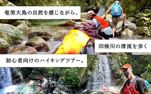 【4月～10月】田検の隠れ滝ハイキング 体験 3名様 奄美大島 宇検村 鹿児島県 旅行 自然 冒険 完全プライベート