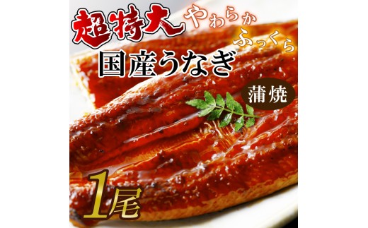 超特大！やわらか国内産うなぎ蒲焼220～250g 1尾|うなぎ 鰻 蒲焼 特大 茨城県 行方市(AD-96-1)