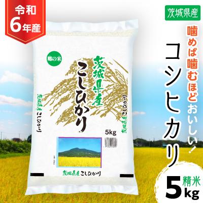 ふるさと納税 土浦市 令和6年産 茨城県産 コシヒカリ 精米 合計5kg (5kg×1袋)