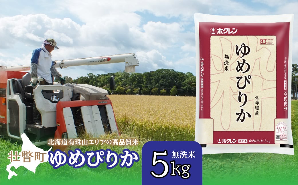 
            【令和6年産 新米】（無洗米5kg）ホクレンゆめぴりか 【 ふるさと納税 人気 おすすめ ランキング 北海道産 壮瞥 無洗米 米 白米 ゆめぴりか 甘い おにぎり おむすび こめ 贈り物 贈物 贈答 ギフト 大容量 詰合せ セット 北海道 壮瞥町 送料無料 】 SBTD058
          