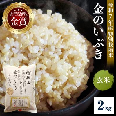 ふるさと納税 湯沢市 【令和7年産米 冷めても美味しい玄米】特別栽培米 金のいぶき 2kg[B2105]