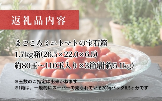 まごころ ミニトマト の宝石箱 1.7kg(約80～110玉)×3箱 計5.1kg