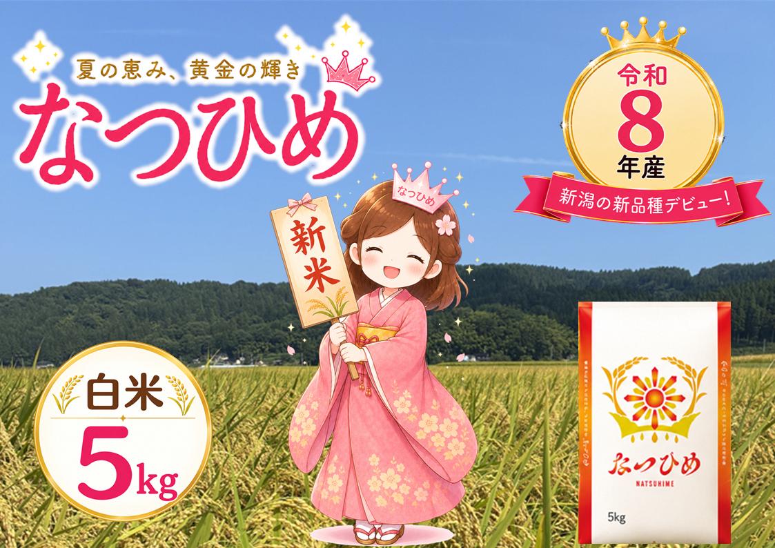 
                  【先行予約】令和8年産 新米 新潟県産『なつひめ』5kg 2026年産 あぐ里能生【新潟県 糸魚川市 米 お米 こめ コメ ご飯 ライス ふるさと納税米 ブランド米 おすすめ ギフト 5キロ 白米 大粒米 新品種 極早生】
                