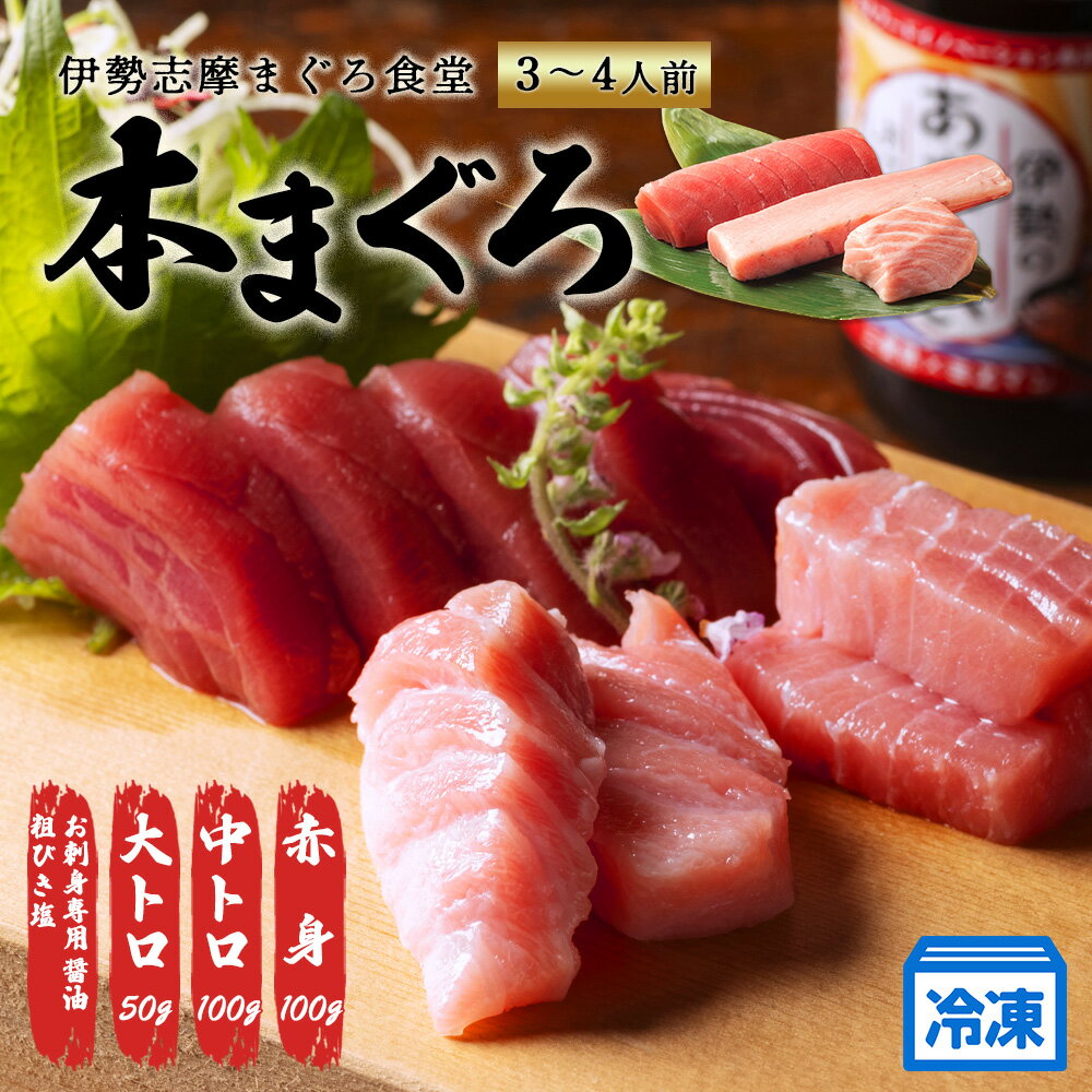 【ふるさと納税】 本まぐろ 赤身 中トロ 大トロ 詰め合わせ 3～4人前 冷凍 マグロ 食べ比べ 鮪 さしみ お刺身 刺し身 海鮮 魚介 定番 海鮮丼 寿司 伊勢志摩 まぐろ食堂 本鮪 専門店 お刺身専用 甘口醤油 粗びき塩 三重県 伊勢 志摩 南伊勢町 19000円 20000円以下 2万円以下