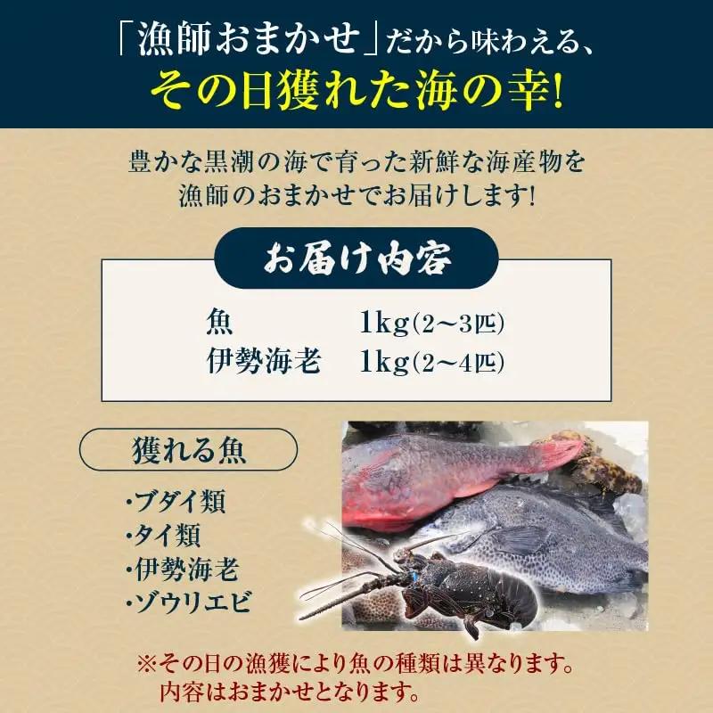 素潜り漁師 MAKOTO の誠に 美味しい 海鮮 おまかせ セット 2kg C074-002 魚介類 冷凍 伊勢海老 イセエビ 魚