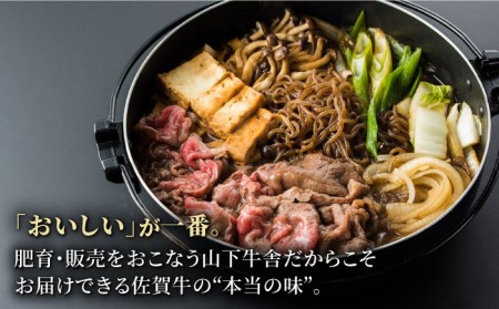 佐賀牛 A5 すき焼き・佐賀県黒毛和牛もつ鍋セット（2?3人前） HAD143 
