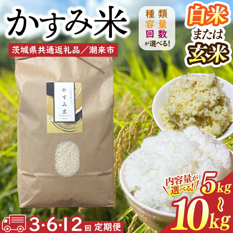 【ふるさと納税】【2026年9月末より順次発送開始】【茨城県共通返礼品/潮来市】【選べる内容量】【12か月定期便】栽培期間中出来るだけ農薬を減らしたかすみ米 5kg or 10kg　白米 or 玄米　(BI-90)