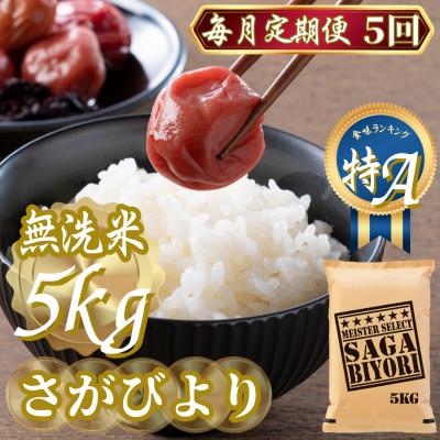 ふるさと納税 吉野ヶ里町 【毎月定期便】【無洗米さがびより5kg】(吉野ヶ里町)全5回