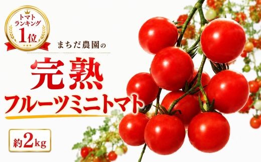 【2026年11月中旬～発送】 トマト フルーツミニトマト 2kg 四万十川 完熟 新鮮 みにとまと とまと プチトマト 野菜 やさい 果物 スイーツ ジュース トマトジュース パスタ ソース サラダ ドレッシング 甘い 旬 野菜 1キロ 採れたて フレッシュ 産地直送 甘い サラダ スープ パスタ もぎたて 箱買い おとりよせ 贈答 ギフト まちだ農園 中土佐町 プレゼント 高知