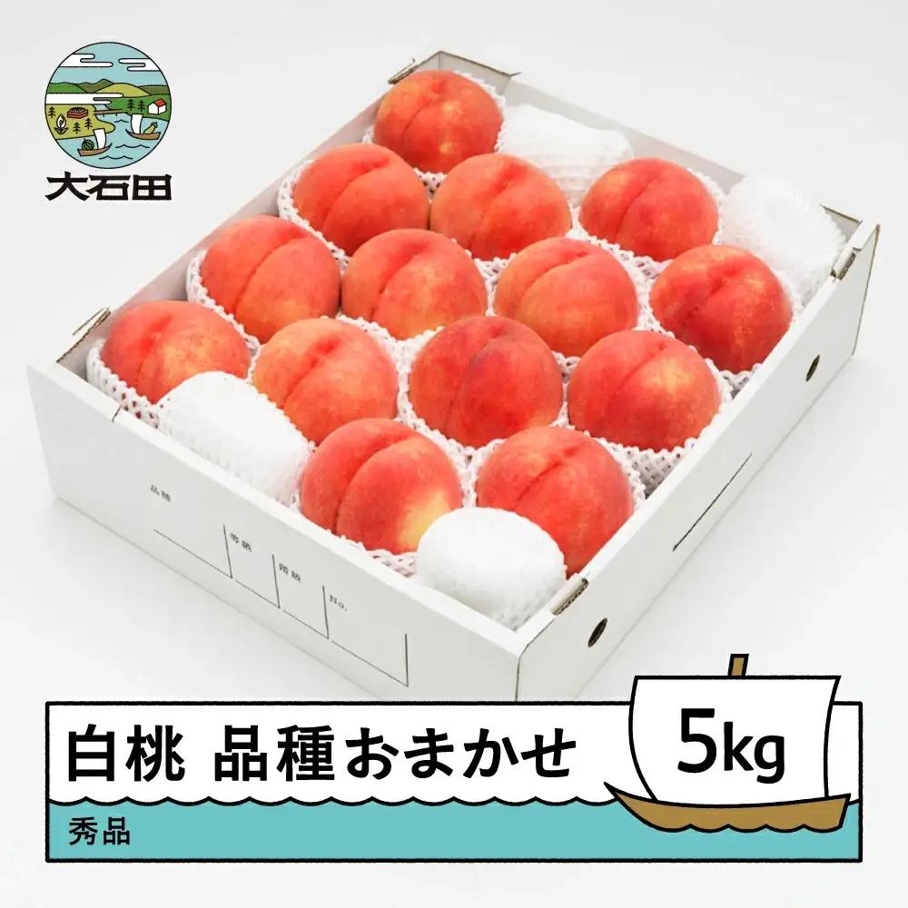 令和8年産 もも 白桃 秀品 品種おまかせ 約5kg ns-mohtx5