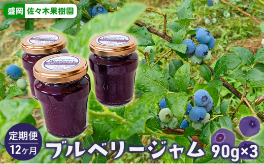 ブルーベリージャム 90g×3本 定期便 12か月 ブルーベリー 謹製 フルーツジャム コンフィチュール ジャム 国産 無添加 朝食 パン トースト ヨーグルト スイーツ デザート 調味料 果物 フルーツ お取り寄せ 産地直送 特産品 名産品 ギフト 贈答用 贈り物 詰め合わせ セット 手作り 濃厚 甘さ控えめ 美味しい 岩手県 盛岡市 東北 岩手 盛岡 乙部角屋 佐々木果樹園