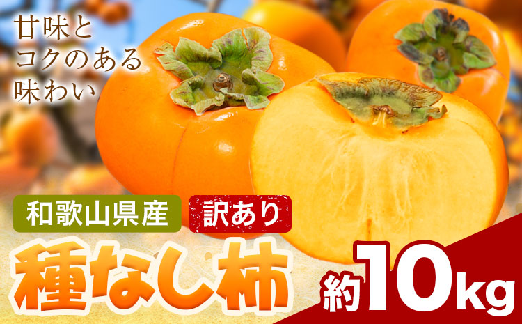 家庭用 種なし柿 約10kg 訳あり 池田鹿蔵農園《10月上旬-12月上旬頃出荷》和歌山県 日高町 刀根早生柿 平核無柿 ひらたねなしかき カキ 種なし柿