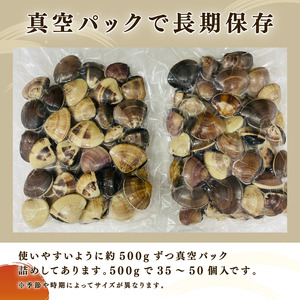 【9月以降順次発送】 はまぐり 約1.5kg ( 約500g × 3パック ) ぜんなはまぐり 液体冷凍 千葉県産 天然 ﾊﾏｸﾞﾘ ﾊﾏｸﾞﾘ ﾊﾏｸﾞﾘ 蛤 蛤 蛤