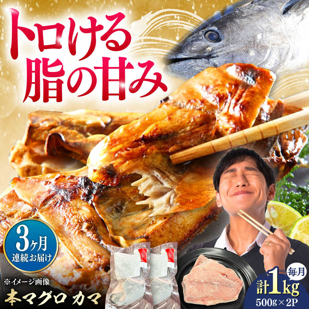【ふるさと納税】【全3回定期便】対馬産 本マグロ カマ 1kg ≪対馬市≫【桐谷商店】 トロの華 対馬 新鮮 マグロ かま 鮪[WAQ096]