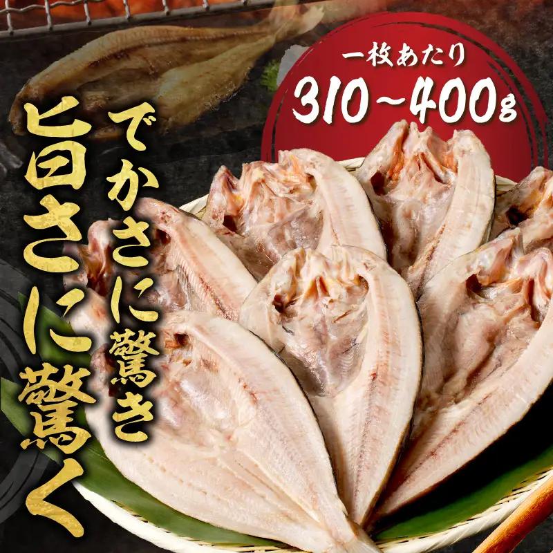 北海道産開きほっけ 7枚入り ( 海鮮 魚 ほっけ 開き 北海道 急速冷凍 美味しい グリル 焼くだけ ジューシー 贈答 ギフト 贈り物 お中元 御中元 お祝い ふるさと納税 ホッケ 人気 )【094