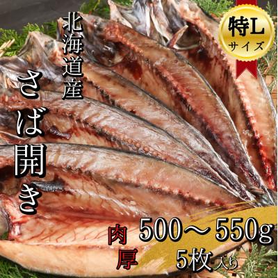ふるさと納税 せたな町 【北海道産】塩さば開き 特Lサイズ5枚(2.5〜2.75kg) 真空パック入り 一夜干し 干物