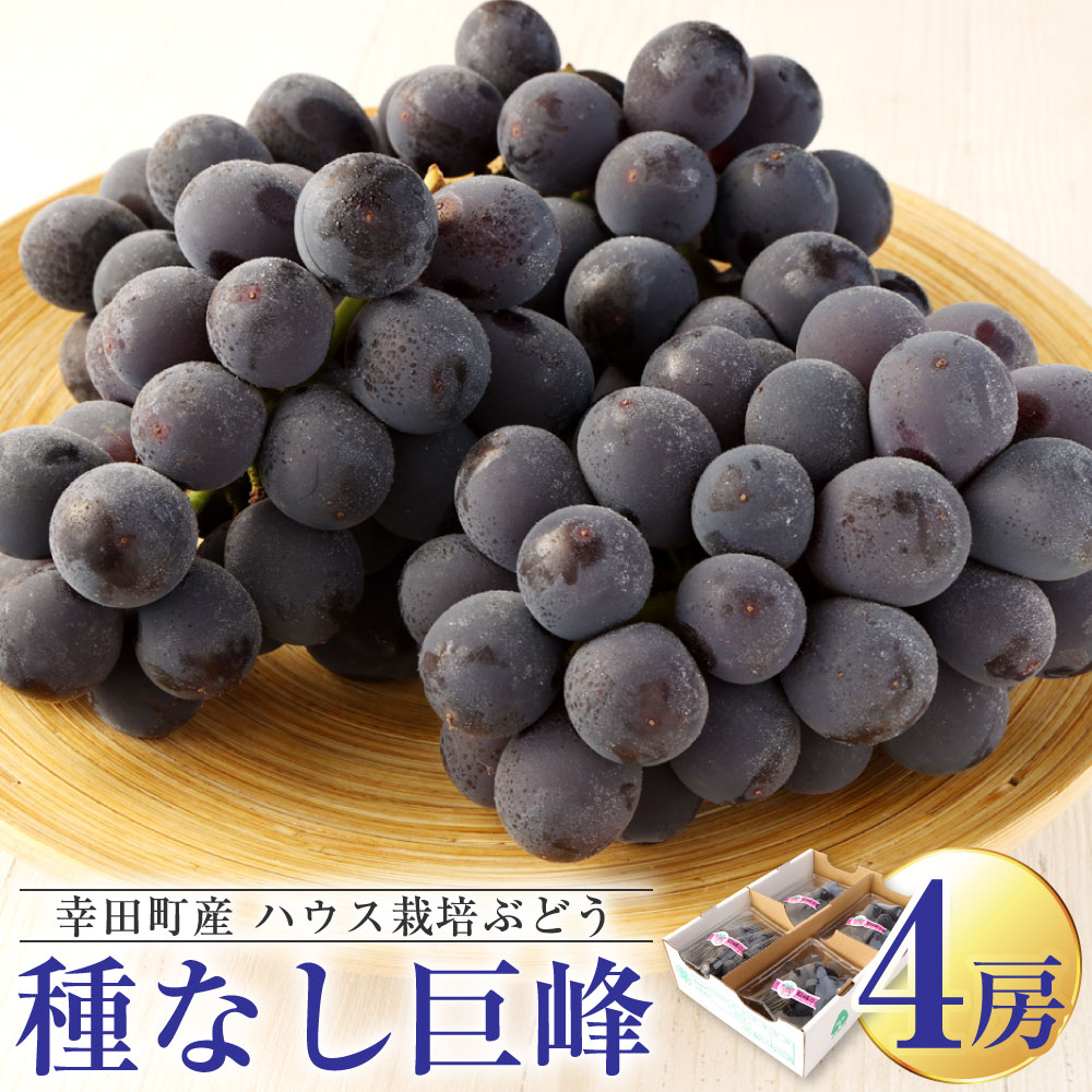 【ふるさと納税】幸田町産 ハウス栽培ぶどう 「種なし巨峰」 4房 巨峰 果物 フルーツ ぶどう ブドウ 種なし ハウス栽培 冷蔵 送料無料 お取り寄せ ※7月中旬～8月上旬頃に順次発送予定 ※着日時指定不可 ※北海道・沖縄県・離島への配送不可
